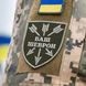 Шеврон шеврон_dryk_1 фото 1