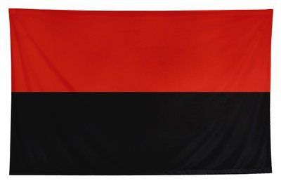 Прапор "УПА", Штучний шовк, 1200х700 мм 147599 фото